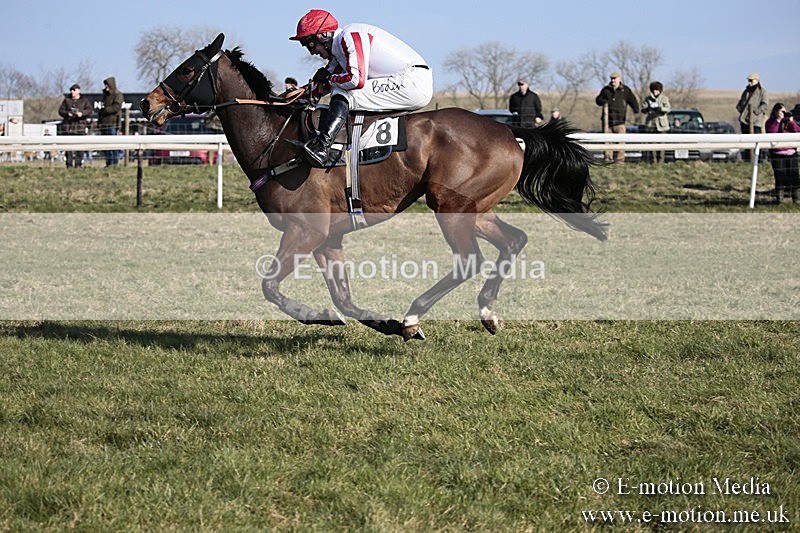PtP 240218 175 - Vine & Craven Hunt Point-to-Point Barbury racecourse 24/02/18