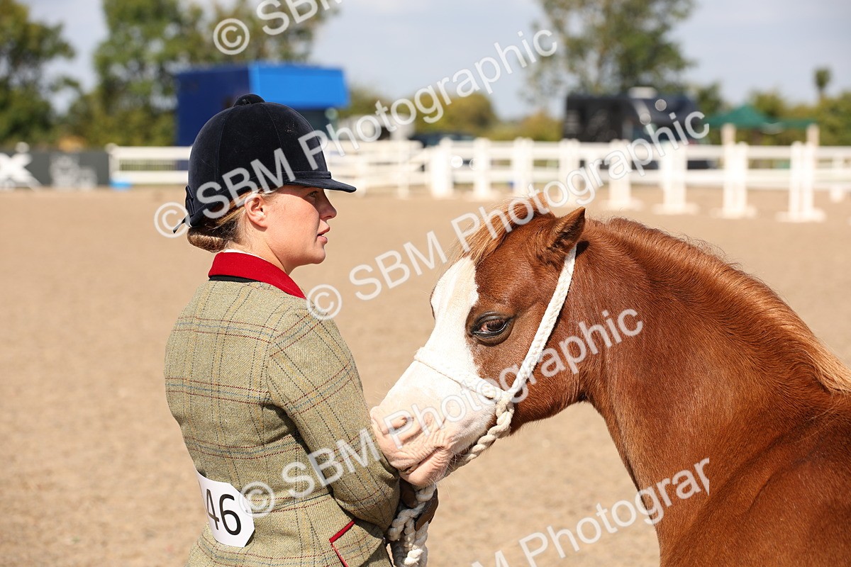 SBM_02801 - Class 16 IH M&M Wildcard