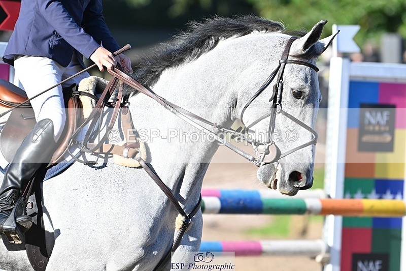 231022-095843-23159 - 248-KINGS.LANE-Liberty.Smith-SJ