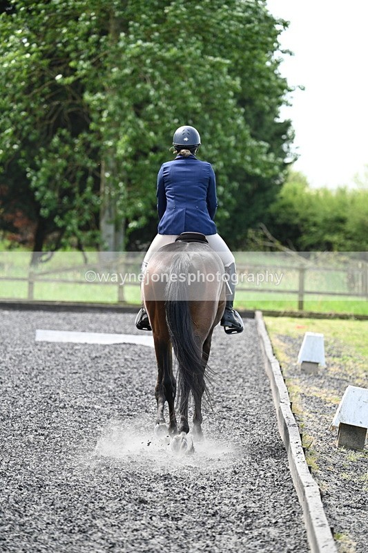 WJ7_9082 - Time 11:56 to 12:08