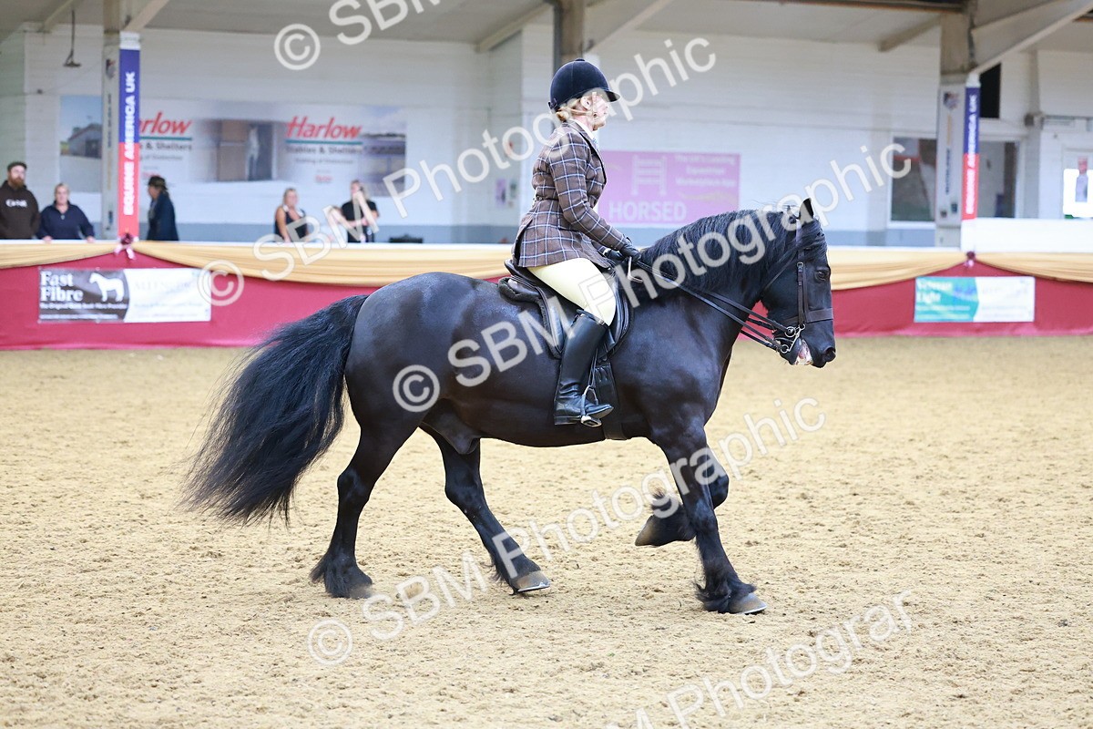 SBM_06238 - Class 12R - Ridden Pre-Vet