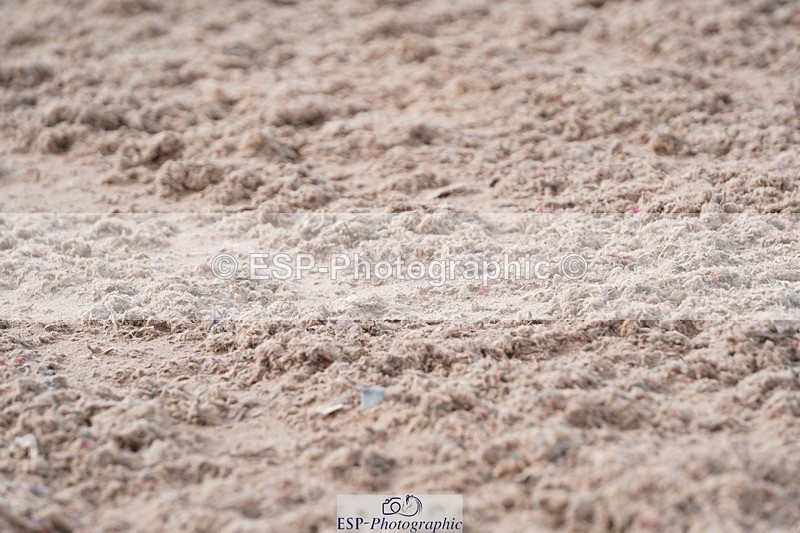 250322-100934-00131 - DR Prelim 2 Test