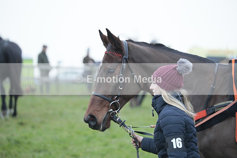 PtP 041222 0553 - Wheatland  Hunt PtP Chaddesley Corbett, Worcs 04/12/22