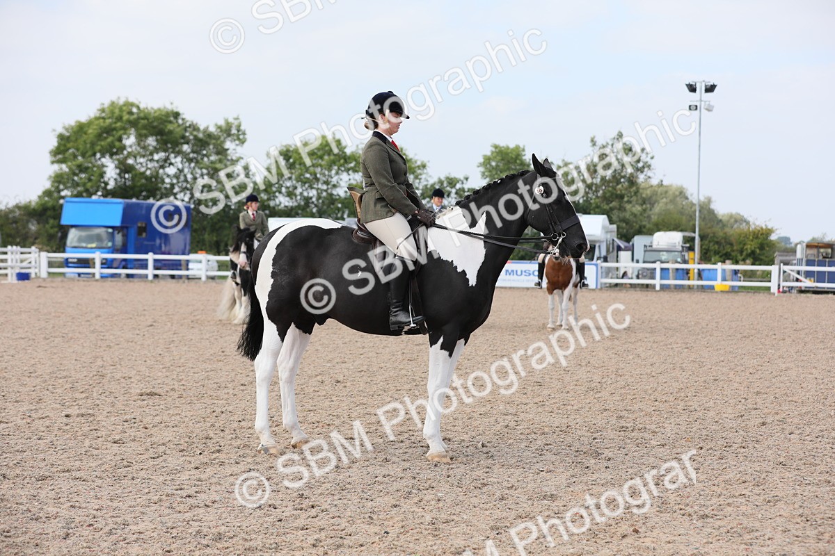 SBM_13468 - Class 308 Ridden Coloured Horse