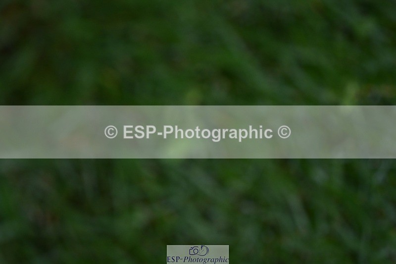 251115-132313-00922 - Cls 16-18 Children on Horses