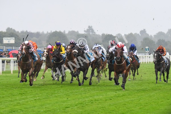 140723-Race 6-Copper Knight-0601 - Race 6 4.55pm Irish Thoroughbred Marketing Handicap