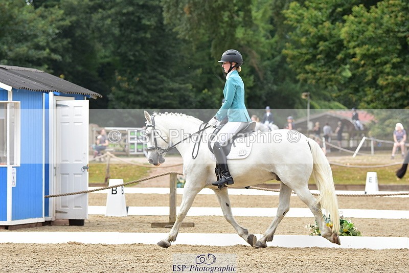 250719A-123300-05615 - 037-Sarah.Browne-Domino.Star