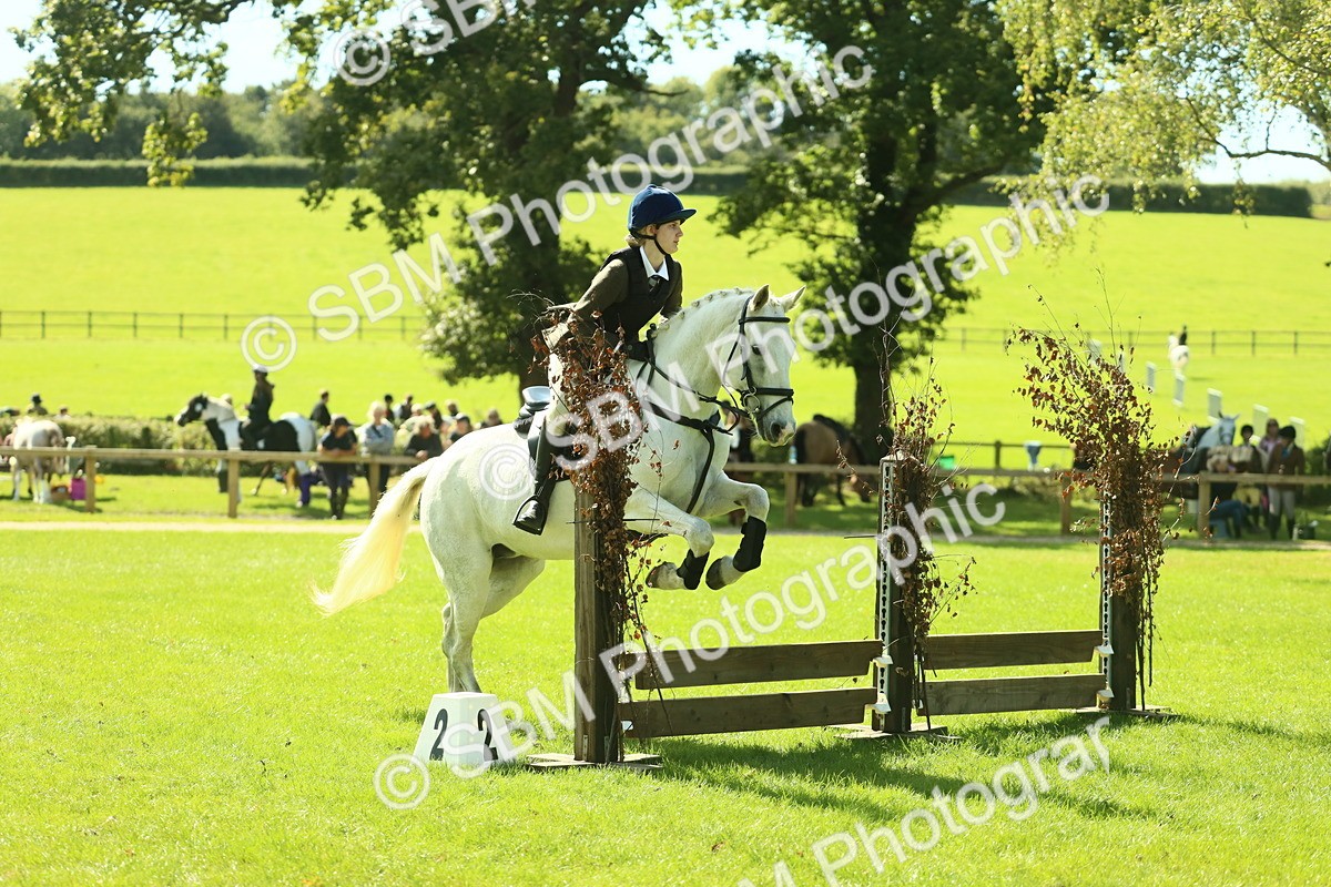 SBM_39270 - S29 - Novice & Newcomers Working Hunter Pony
