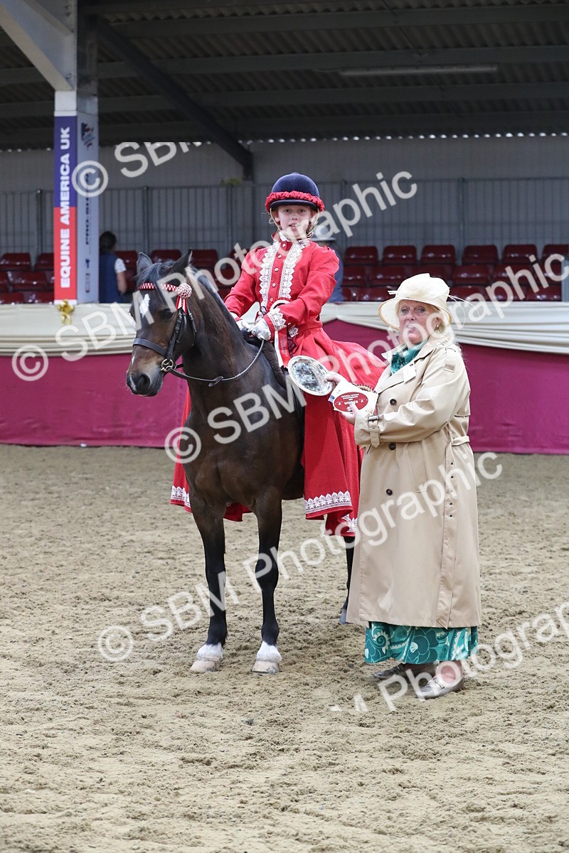 SBM_11293 - Class 104 Ridden Costume - Astride Junior