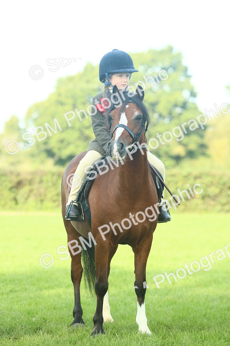 SBM_59860 - S38 - Starters Ridden Showing