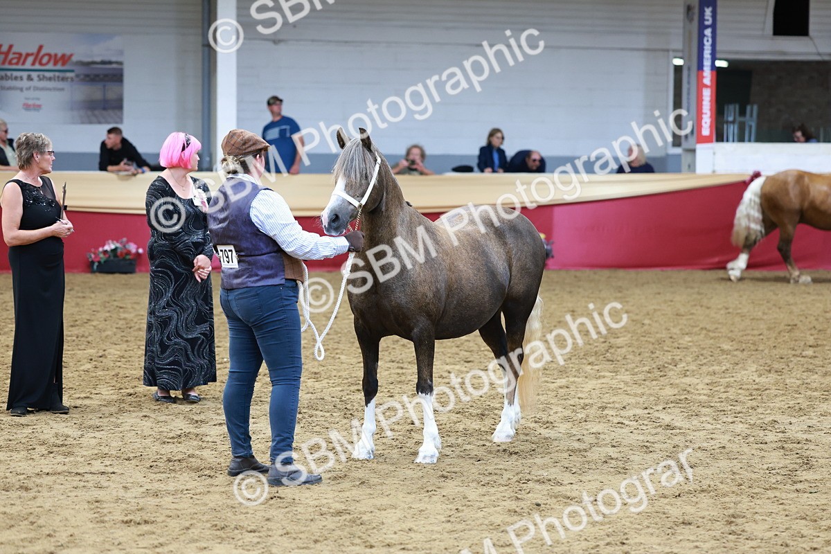 SBM_17452 - Class 951 - M&M IH Supreme Final