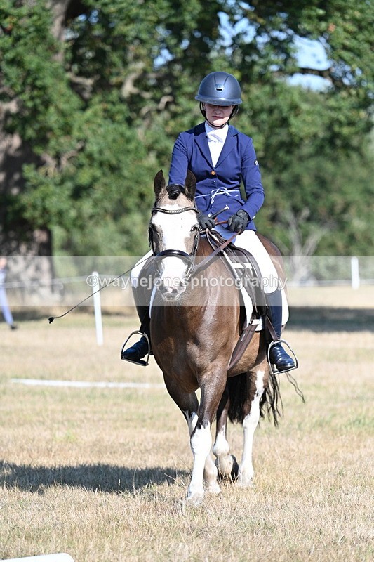 WJ7_9071 - Time 09:27 to 10:03