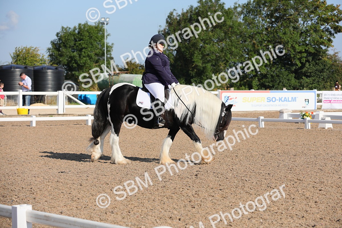 SBM_01000 - Class 30 Intro 1