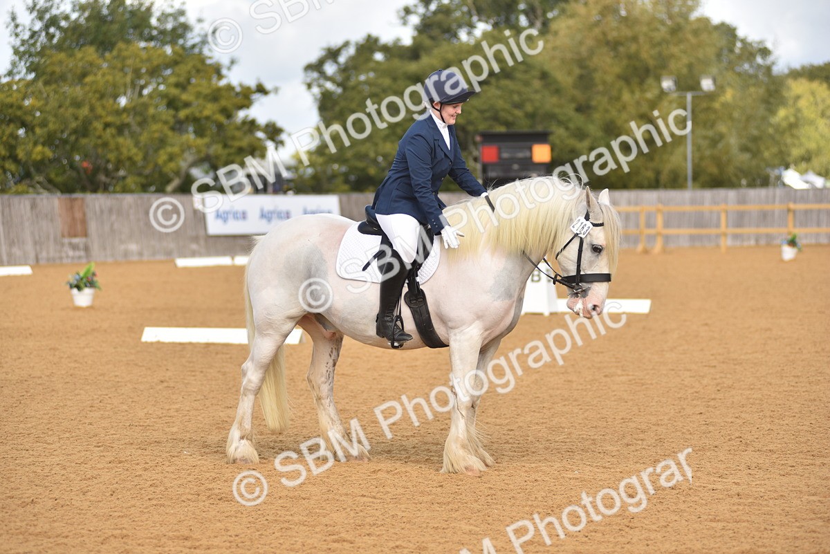 SBM_03212 - D4 - Small Tour Championship Intro 4