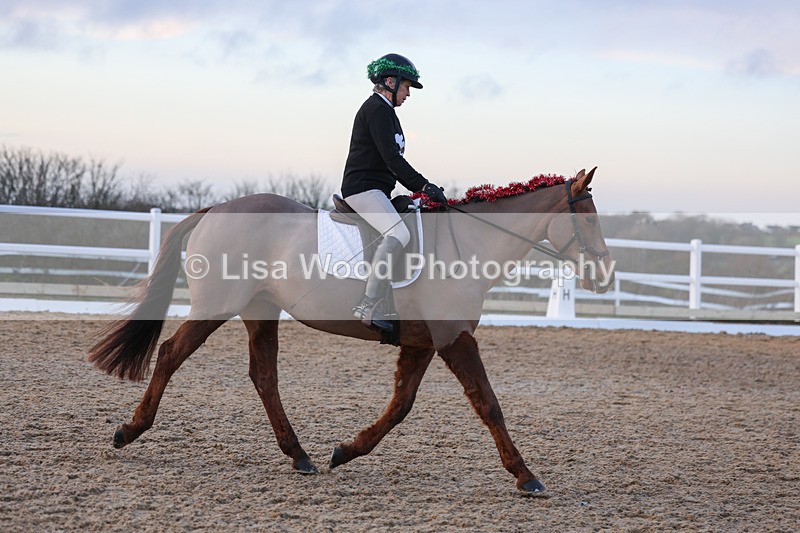 3E7A5133 - Class 5: Novice