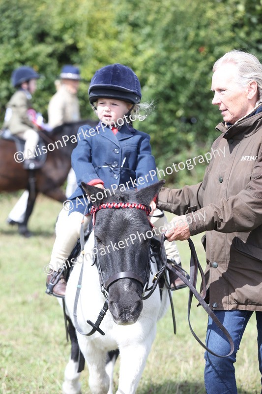 20250831-2768 - Class 17 - Lead Rein Pony