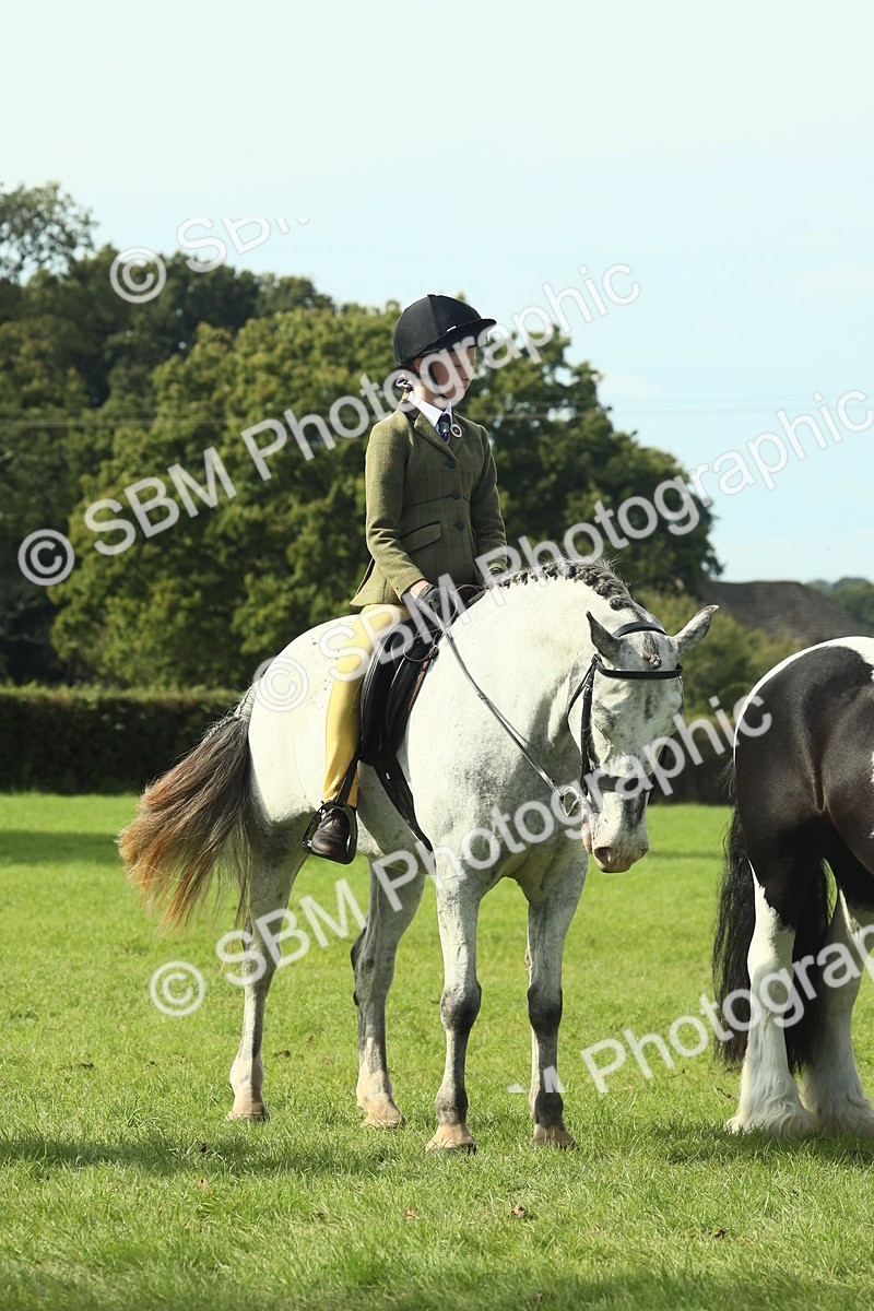 SBM_68937 - S58 - Mini Show Cob Ridden