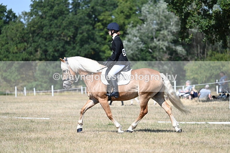 WJ7_0320 - Time 11:33 to 11:44