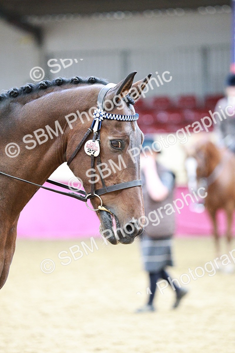 SBM_02209 - Class 4A - Area Ridden Diamond