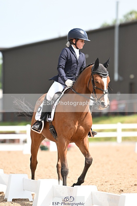 250620-110306-02748 - BD Cls 4 - Novice 5, Start to 11.30am