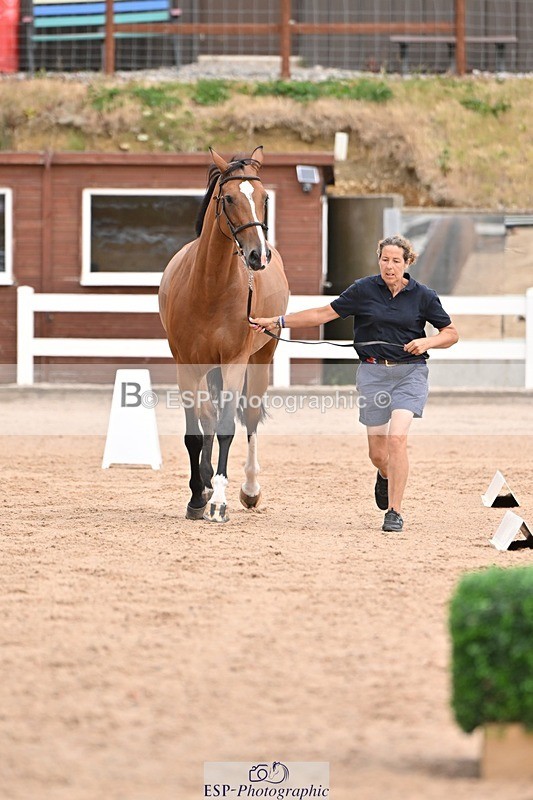 250716-151817-01849 - Trot Up 2.30 to 3.30