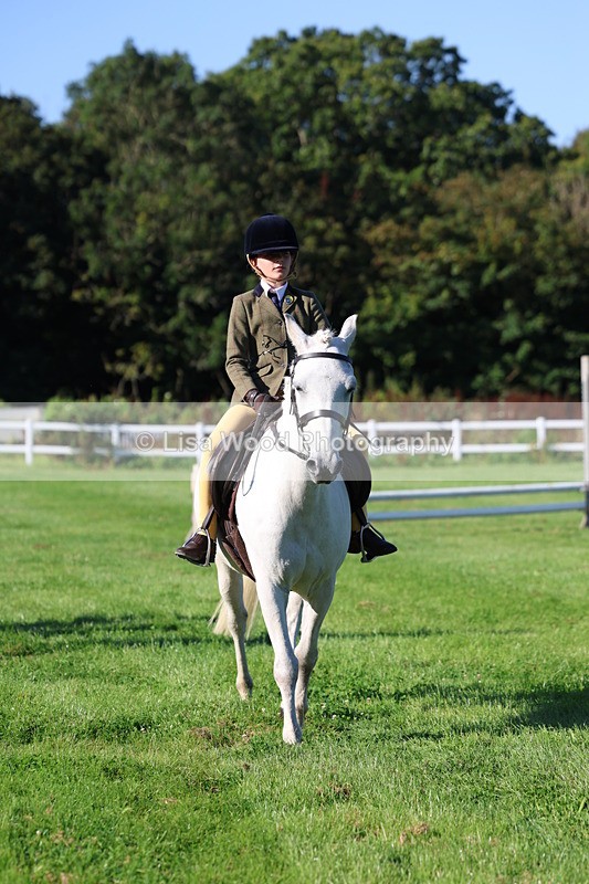 3E7A7519 - Class 1: Novice Working Hunter Pony