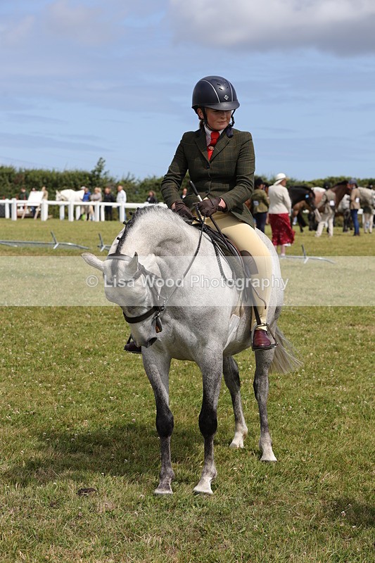 1X9A4024 - Class 32: Show Hunter Pony 153cm and under