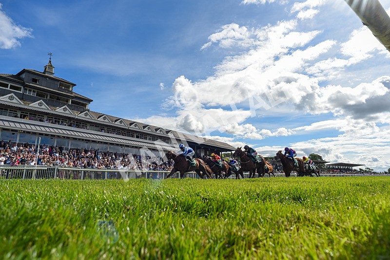 310526-Race 2-Dazzling Haze-3550 - Race 2 16.15pm Flutter Proud To Support Young Lives Vs Cancer Handicap
