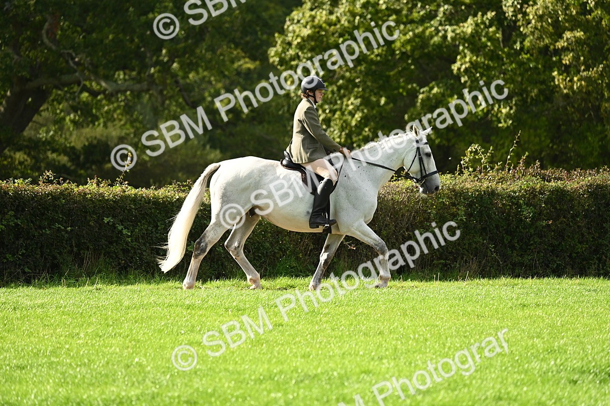 SBM_26312 - S6 - Novice & newcomer Ridden horse