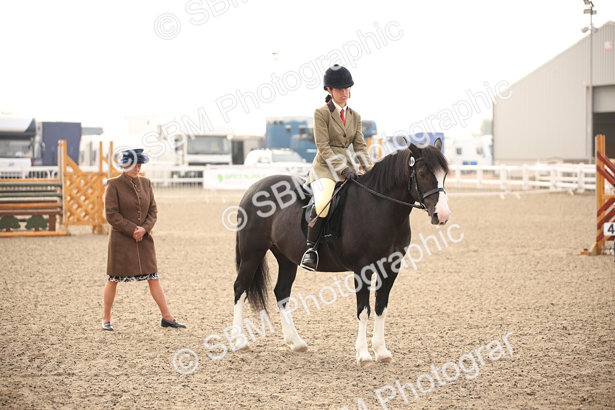 SBM_09756 - Class 401 Riding Club Pony