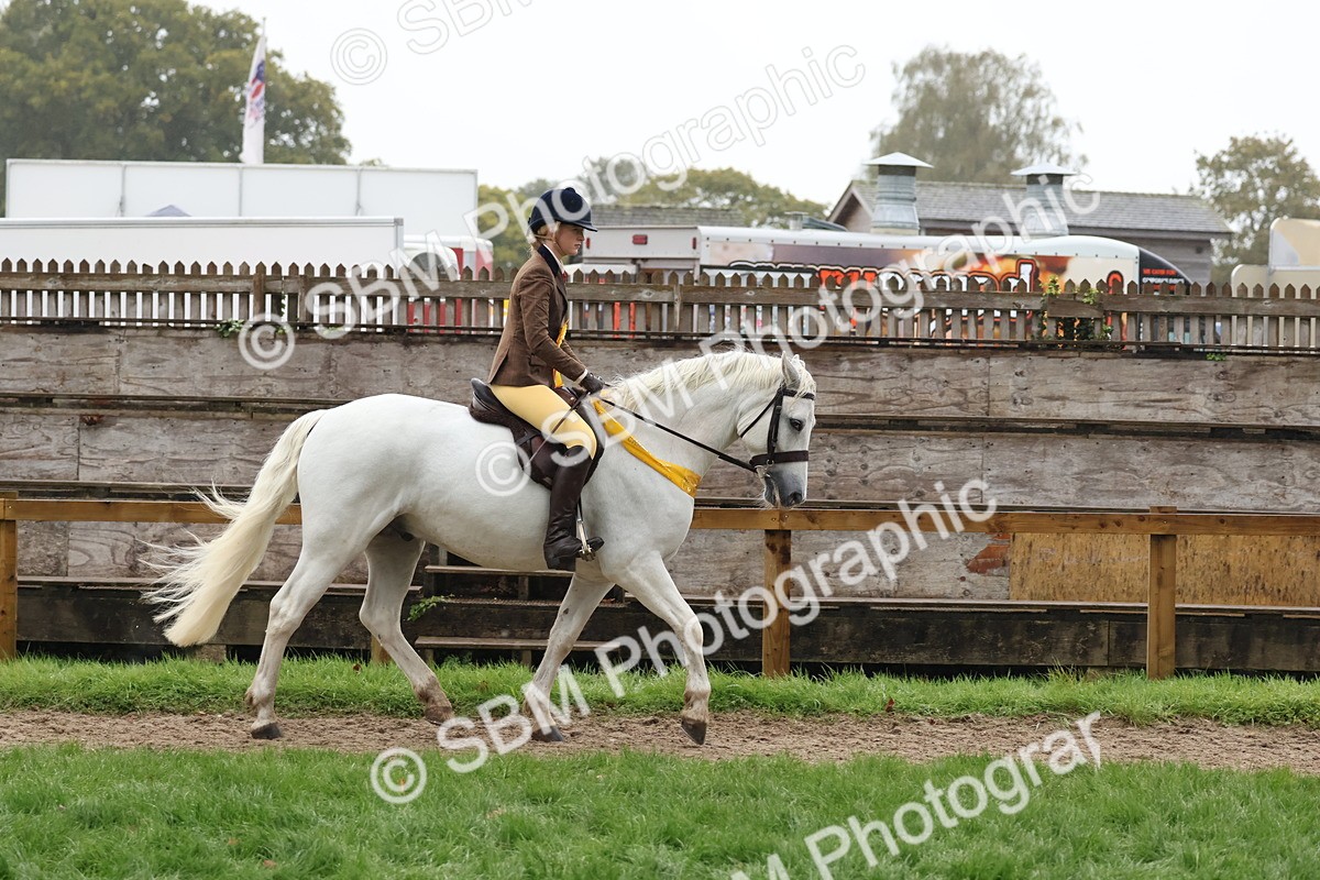 SBM_73105 - Ridden Pony Supreme Championship