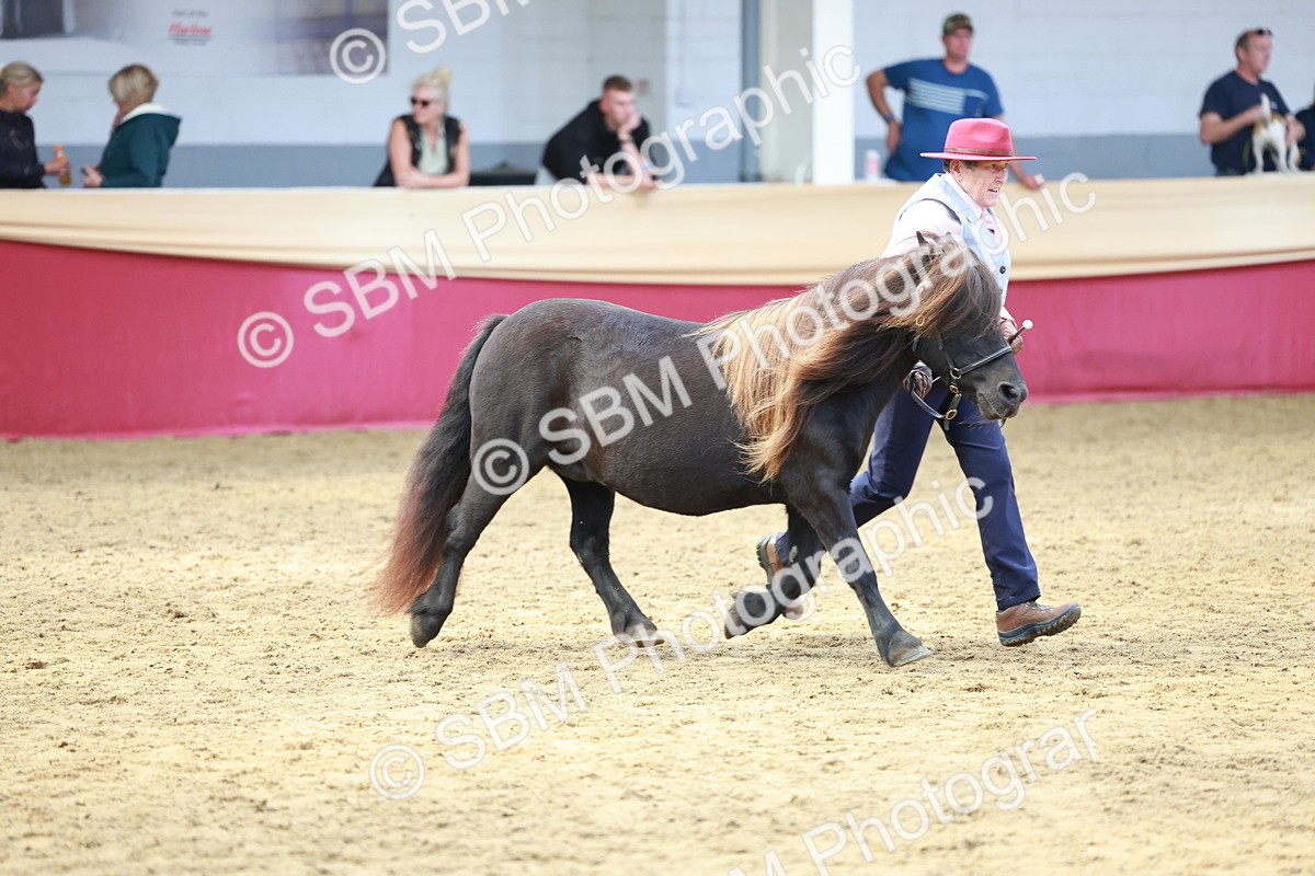 SBM_17500 - Class 951 - M&M IH Supreme Final