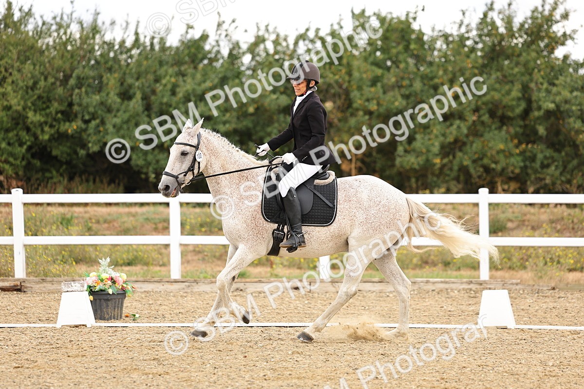 SBM_003251 - Class 3 - N4