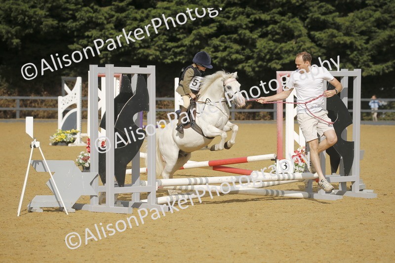 20250622-1271 - 40cm