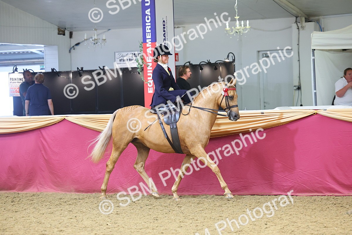 SBM_24331 - Class 906 - Supreme Final - Ridden Pre Vet