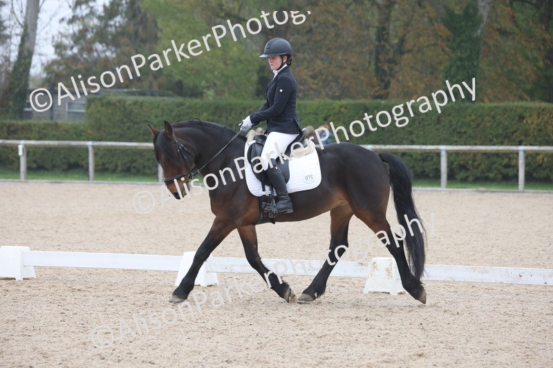 20251012-0427 - Class 3 - Novice 5