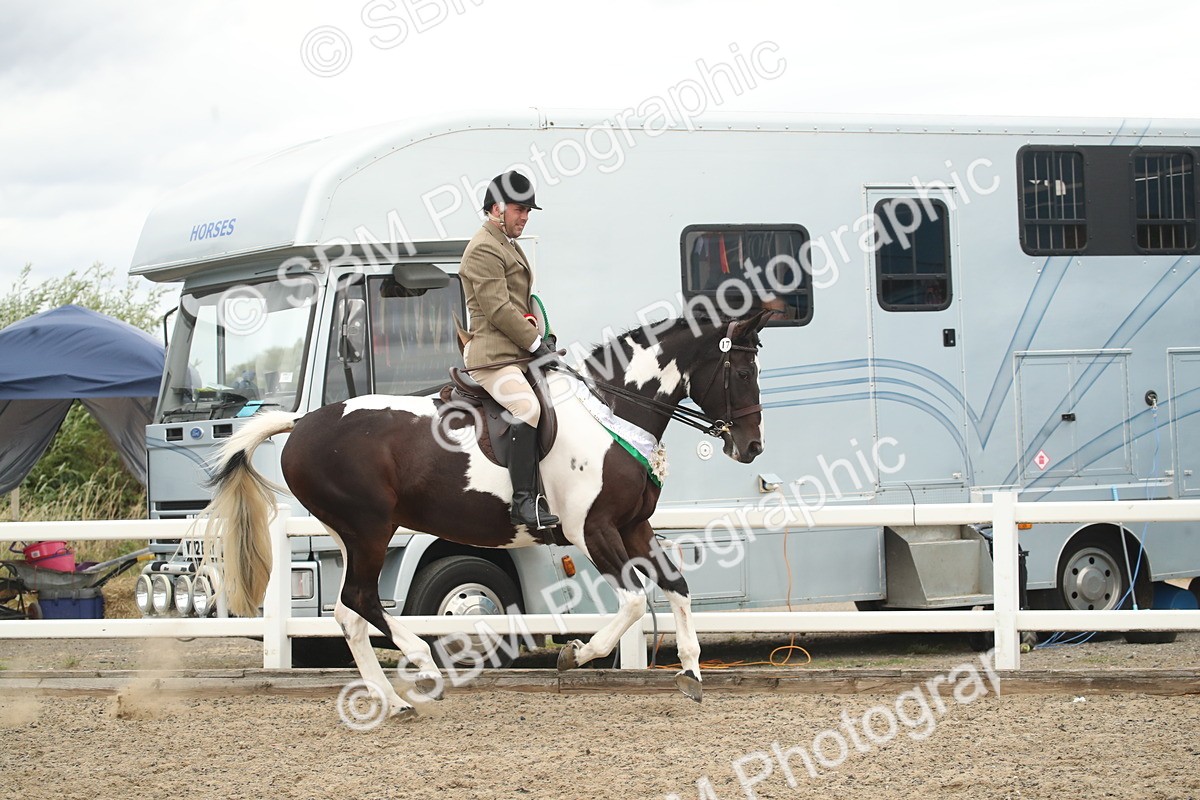 SBM_18337 - Class 509a - Working Veteran - 80cm (15-19)