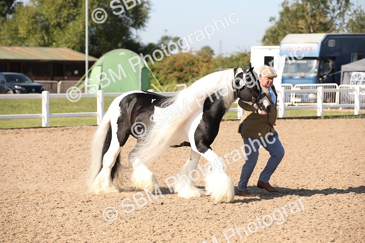 SBM_01483 - Class 15 IH Coloured