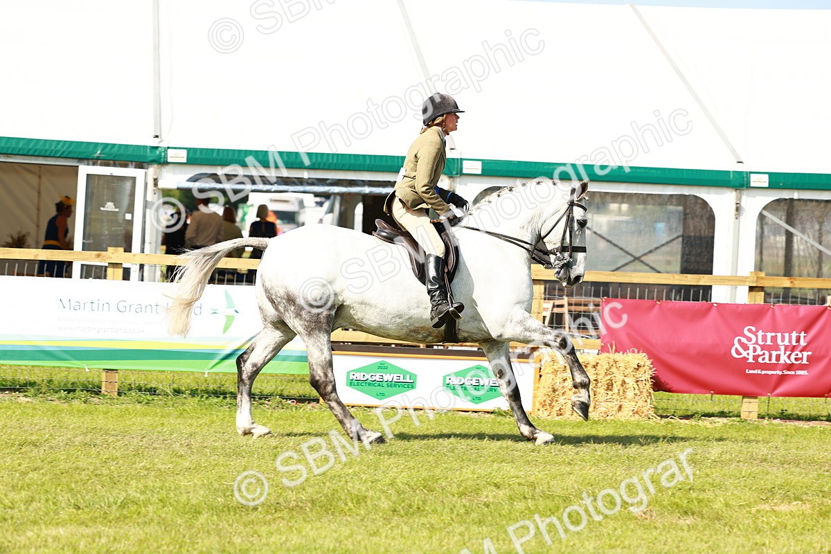 SBM_11940 - Class 66-69 - RIHS Ridden Hunters Inc Small Hunter