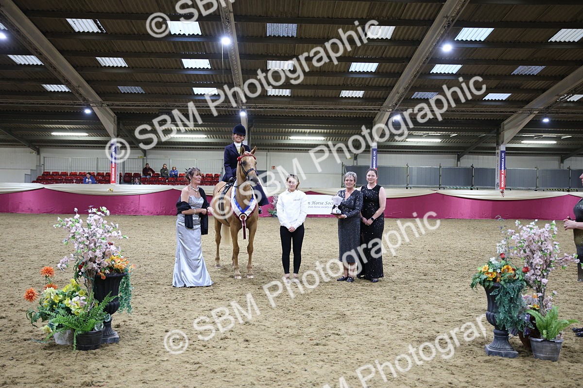 5K7A1510 - Class L Side Saddle Champ