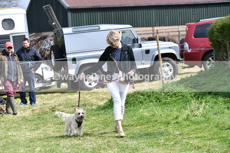 WJ5_0368 - Class 7 Best Terrier