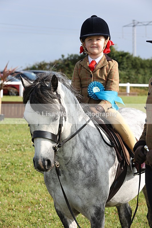 JPP_0465 - Class 14: Cornish Combination Leading Rein
