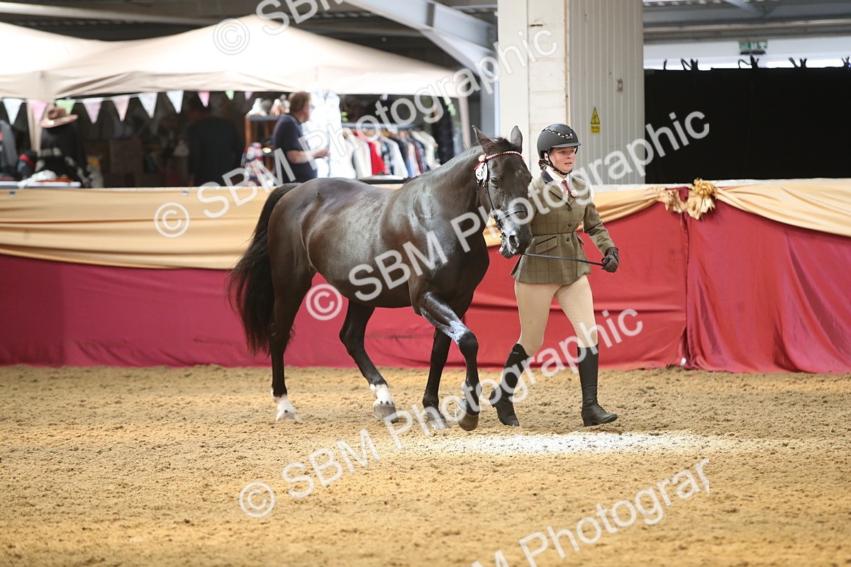 SBM_05331 - Class 8R - Regional IH Veteran