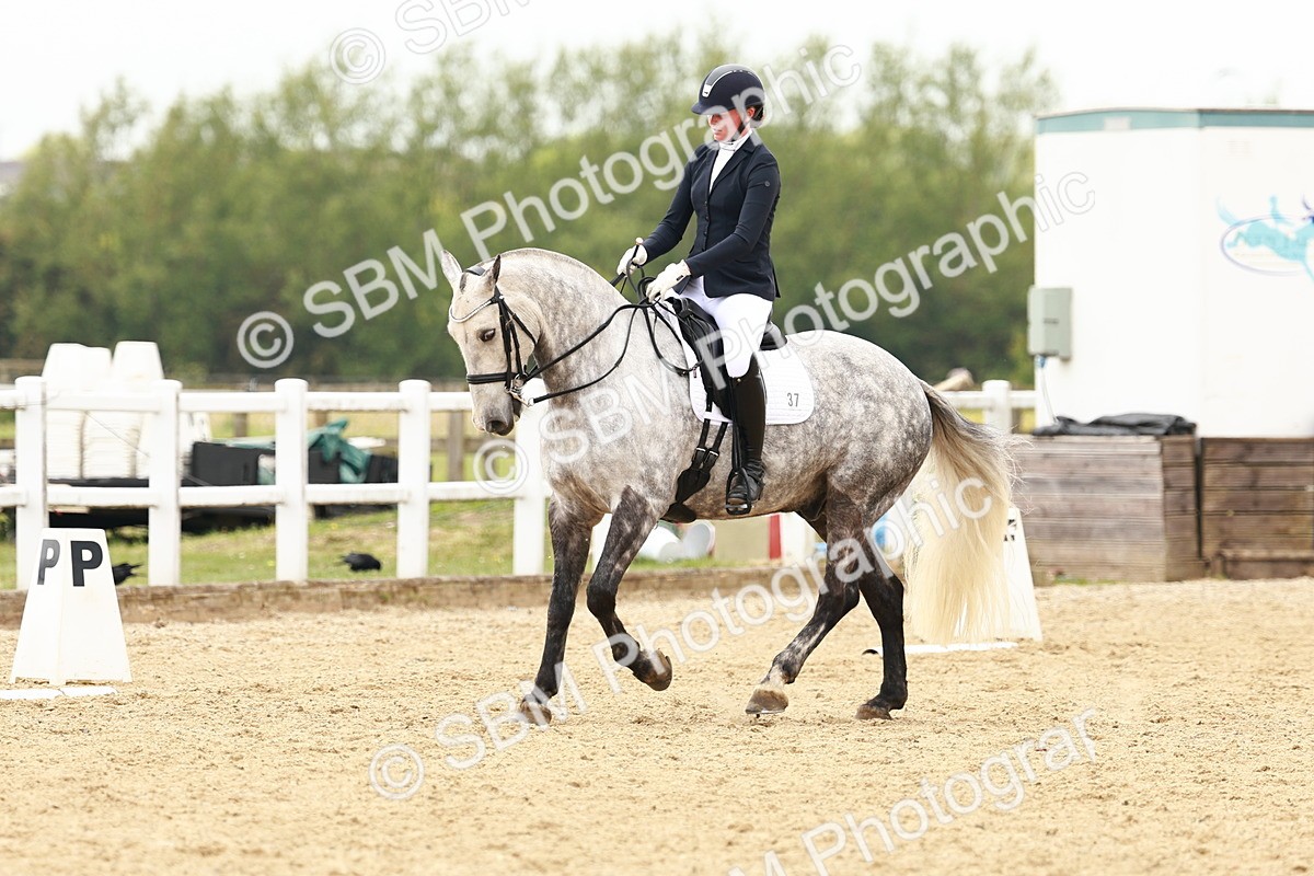 SBM_002568 - Class 12 - Medium 4