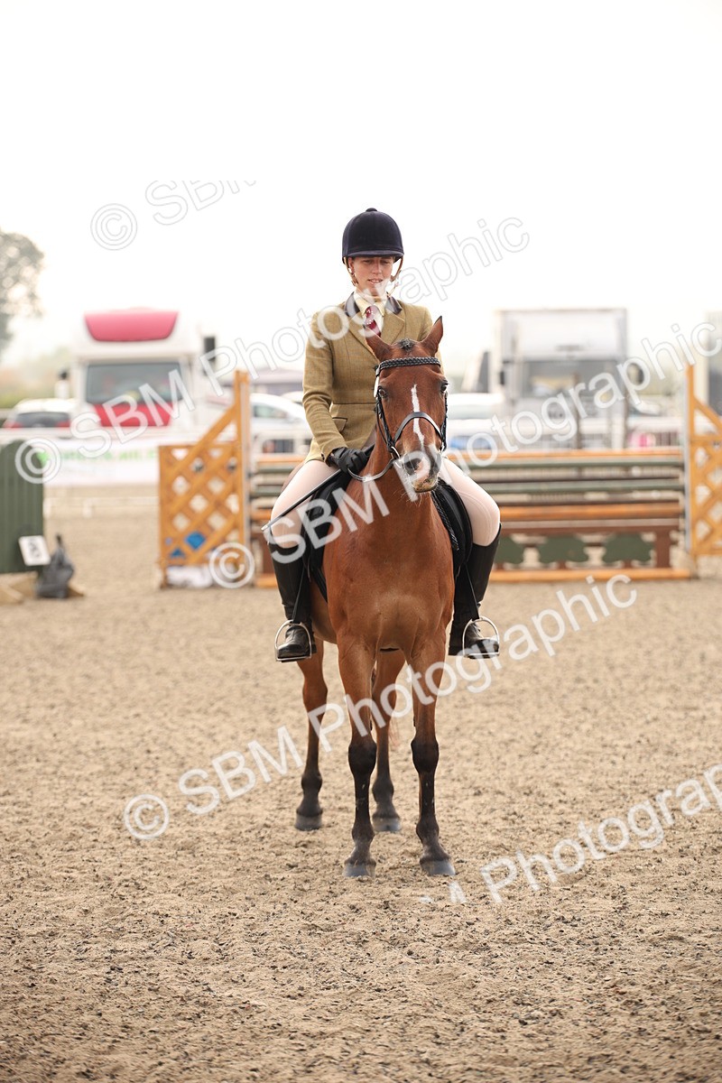 SBM_09777 - Class 401 Riding Club Pony