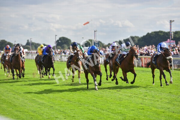 yr19082022r6-34 - Race 6 4.45 pm British Stallion Studs EBF Convivial Maiden Stakes