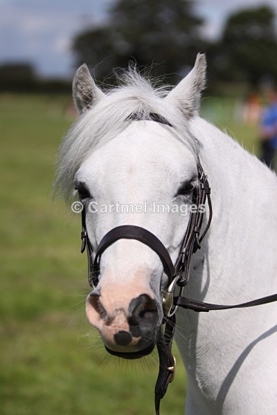 IMG_8268 - August 2009
