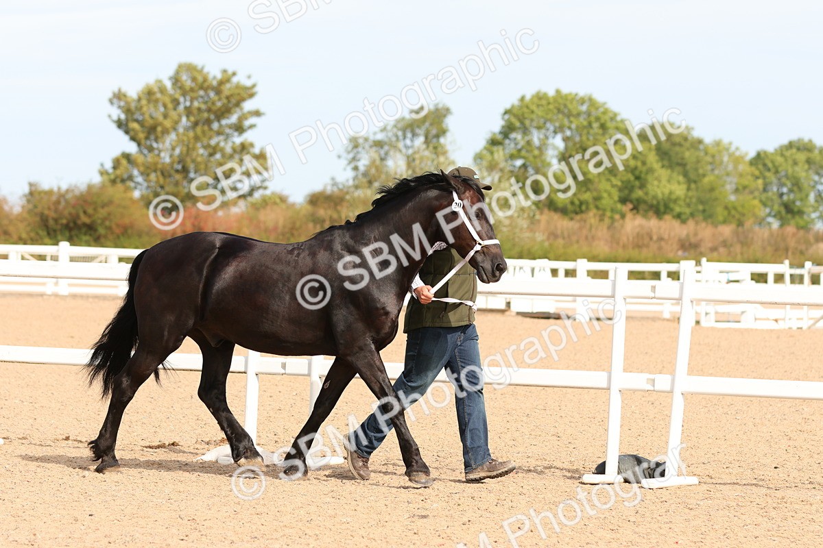 SBM_17999 - Class 707 - IH Groom - Helpers Glass
