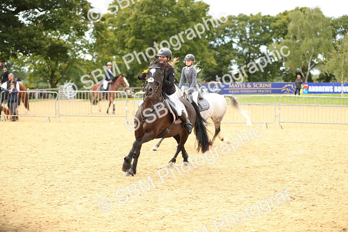 SBM_71358 - J18 - Junior Pony 85cm Championship