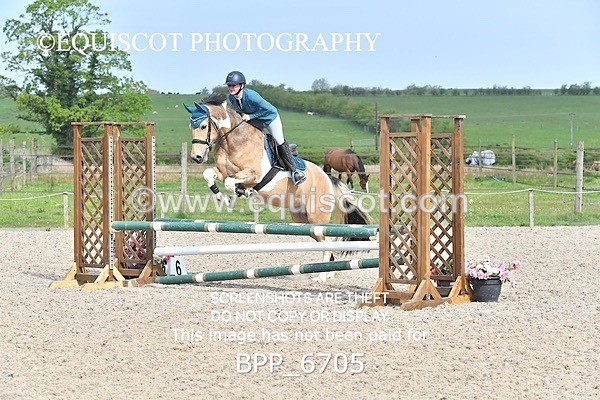 BPP_6705 - CLASS 2 FRI Club/ Unaffiliated 80cms Open